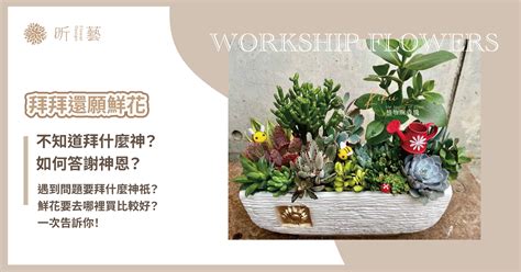 拜拜百合花顏色|拜拜＆還願鮮花指南：遇到問題不知道拜什麼神？如何。